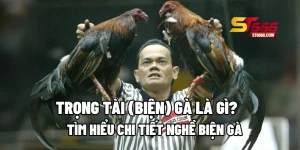 Trọng Tài (Biện) Gà Là Gì? Tìm Hiểu Chi Tiết Nghề Biện Gà