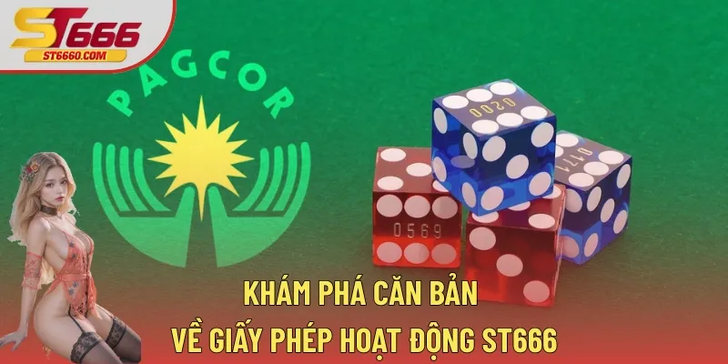 Khám phá căn bản về giấy phép hoạt động ST666